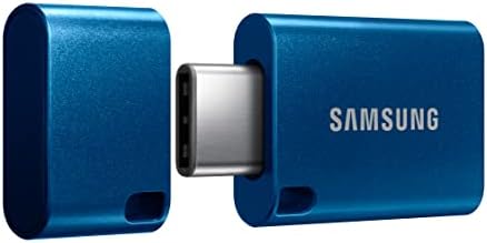 Samsung Type-C USB Flash Drive, 256GB, Transfers 4GB Files in 11 Secs w/Up to 400MB/s USB 3.2 Gen 1 Read Speeds, Compatible w/USB 3.0/2.0, Waterproof, 2022, Blue, MUF-256DA/AM